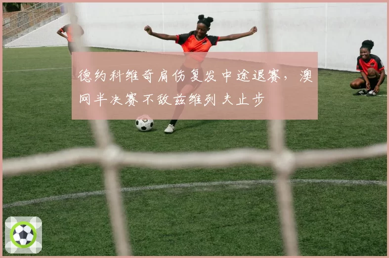 德约科维奇肩伤复发中途退赛，澳网半决赛不敌兹维列夫止步
