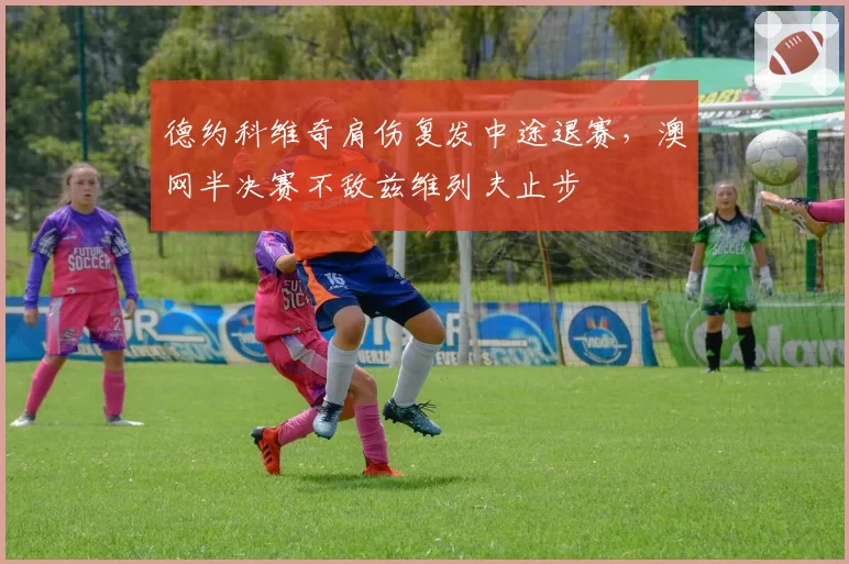 德约科维奇肩伤复发中途退赛，澳网半决赛不敌兹维列夫止步